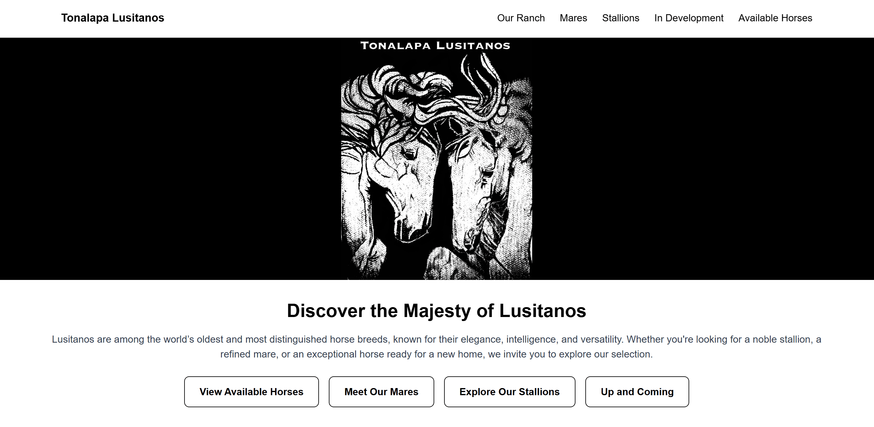 Tonalapa Lusitanos