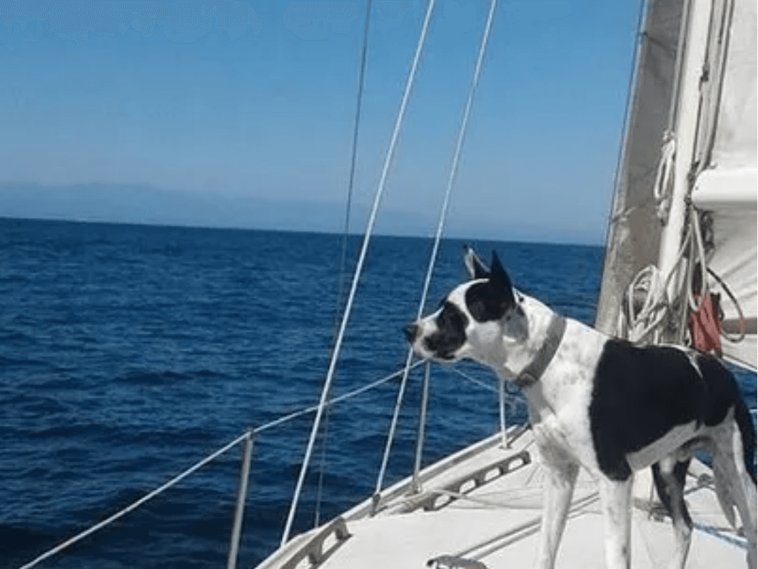 Odin, the Watchful Mariner